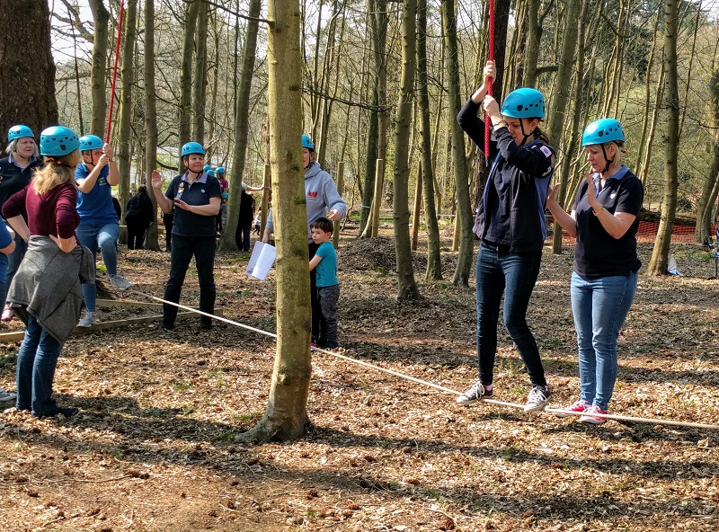 Low Ropes 